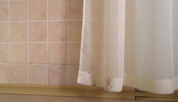 Best Air Quality Testing for Mold Spores  in Brunswick, NC