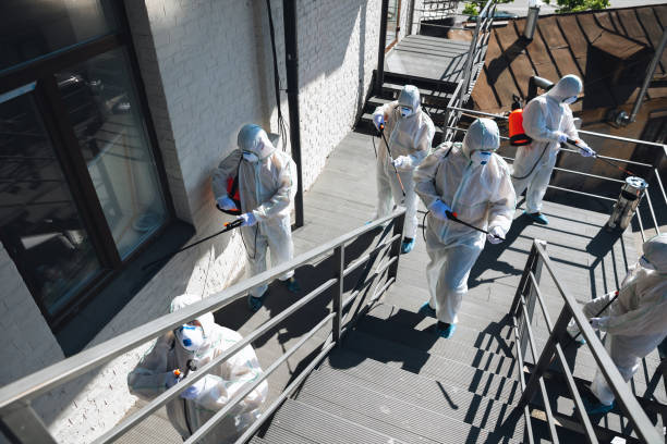 Best Mold Removal for HVAC Installations  in Brunswick, NC
