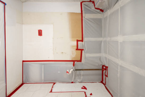 Best Water Damage & Mold Remediation  in Brunswick, NC