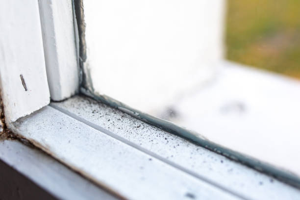 Best Indoor Air Quality Assessment  in Brunswick, NC